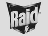 Raid